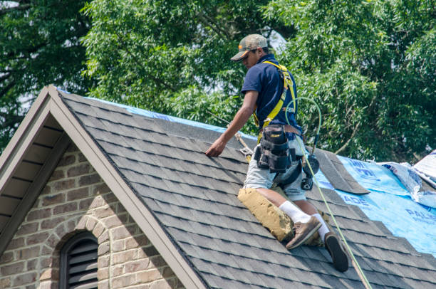 Roof Gutter Cleaning in Georgetown, IL
